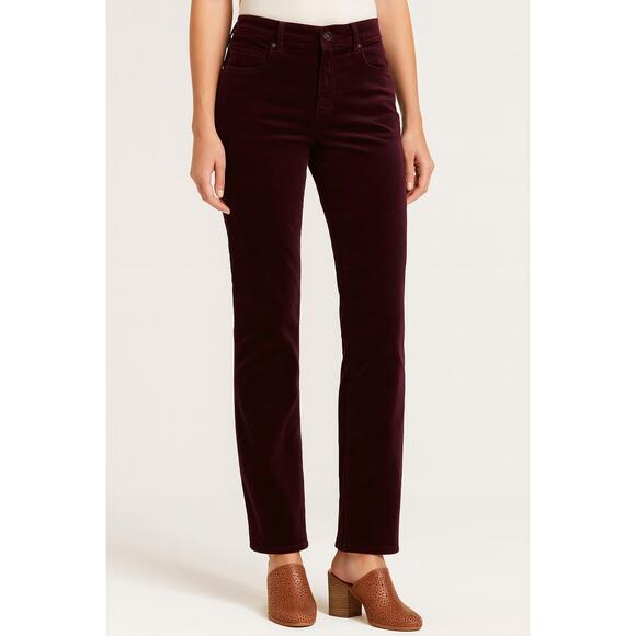 ANTHROPOLOGIE Pilcro Dark Plum Purple Straight leg Soft Velour Pants Size 27 - Picture 1 of 6